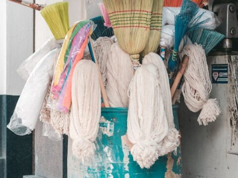 Steam Mop vs Traditional Mop: Which Is Better?