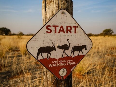 how to start a blog in 2025
