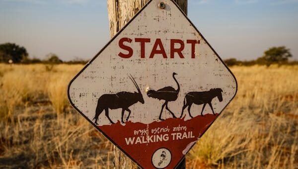 how to start a blog in 2025