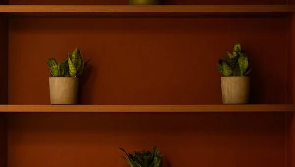 The 12-12-12 Rule for Easy Decluttering: A Simple Guide to Organizing Your Space