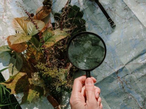 the ultimate guide to life's random hacks