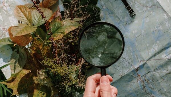 the ultimate guide to life's random hacks