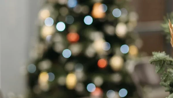 How to Organize Holiday Decor (Stress-Free!)
