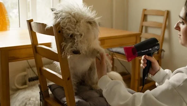 Pet Owner Cleaning Tips You Can’t Miss