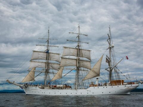 astronomy-themed cruises for VIP travelers enjoying luxury stargazing